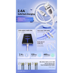 REMAX - RC-C113A Ruinay Series USB to Type-C Fast Charging Data Cable ( 2.4A ) - Black