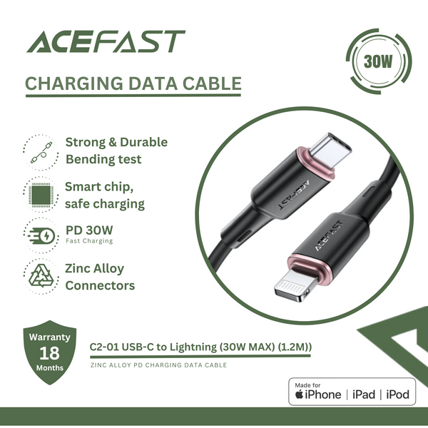 Charging Data Cable C6-03 USB-C to USB-C 100W I ACEFAST - High End  Accessories