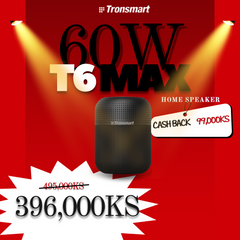 TRONSMART Element T6 Max 60W Portable Wireless Bluetooth Indoor Speaker - Black